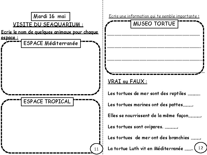 Mardi 16 mai Ecris une information qui te semble importante : MUSEO TORTUE VISITE