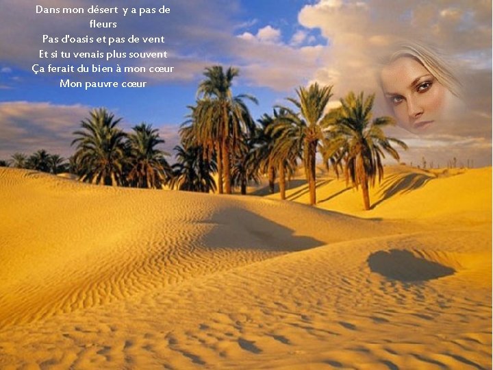 Dans mon désert y a pas de fleurs Pas d'oasis et pas de vent