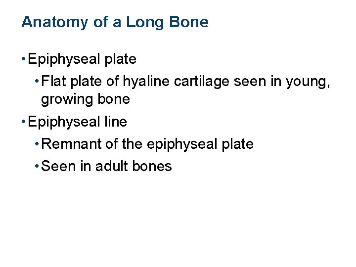 Anatomy of a Long Bone • Epiphyseal plate • Flat plate of hyaline cartilage