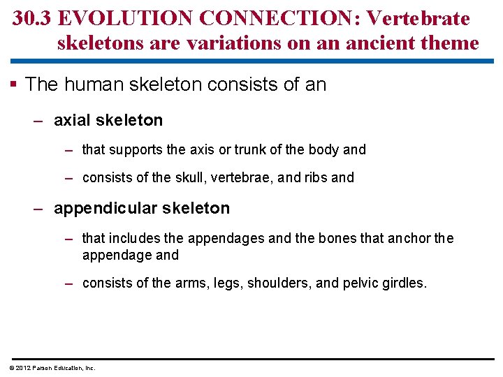 30. 3 EVOLUTION CONNECTION: Vertebrate skeletons are variations on an ancient theme § The