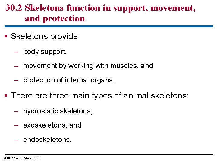 30. 2 Skeletons function in support, movement, and protection § Skeletons provide – body