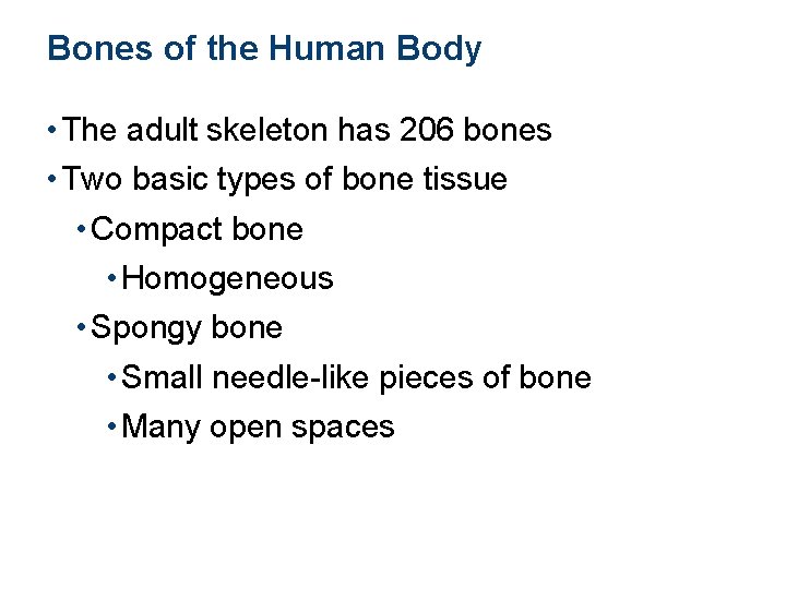 Bones of the Human Body • The adult skeleton has 206 bones • Two