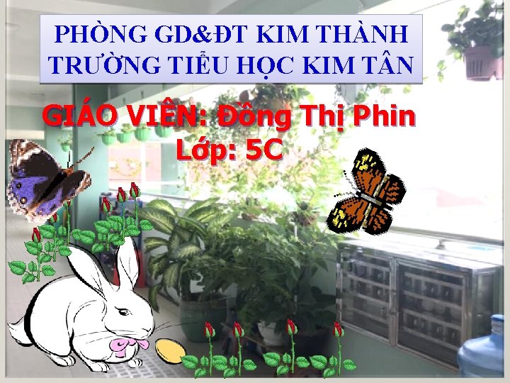 PHÒNG GD&ĐT KIM THÀNH TRƯỜNG TIỂU HỌC KIM T N GIÁO VIÊN: Đồng Thị