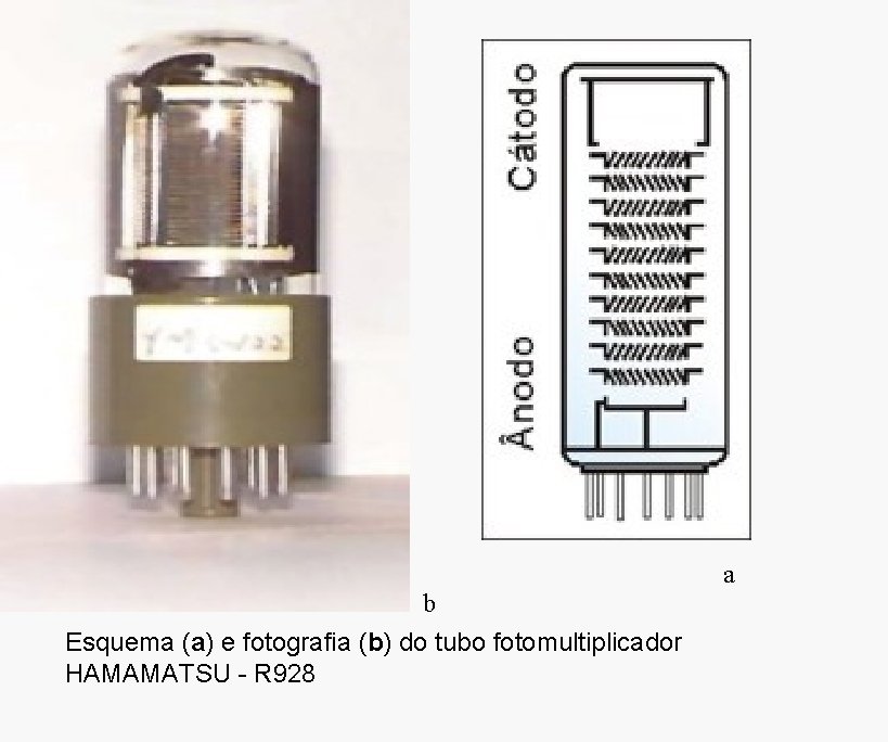 a b Esquema (a) e fotografia (b) do tubo fotomultiplicador HAMAMATSU - R 928