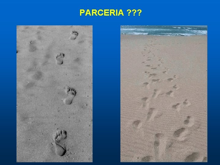 PARCERIA ? ? ? PARCERIA ? ? ?
