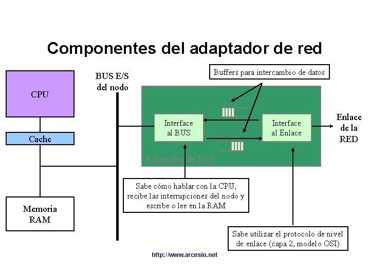 Componentes del adaptador de red CPU Cache Buffers para intercambio de datos BUS E/S