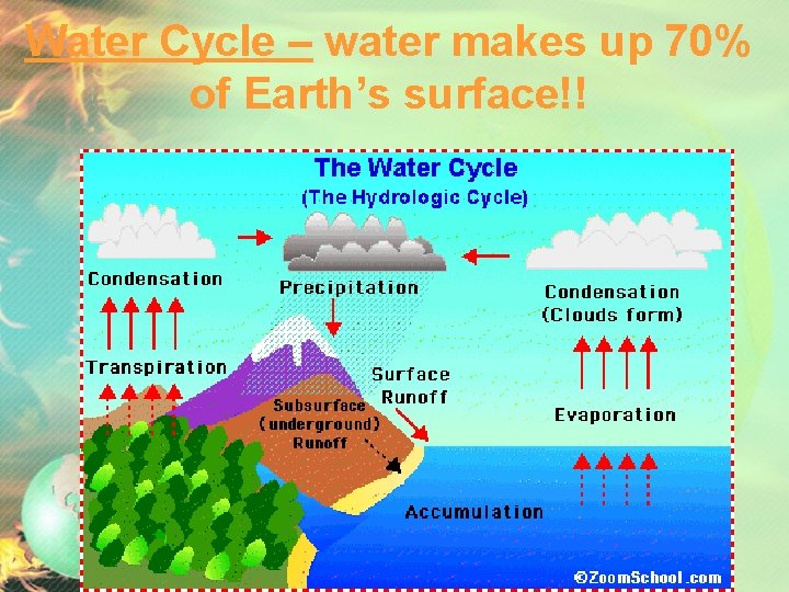 Water Cycle – water makes up 70% of Earth’s surface!! 