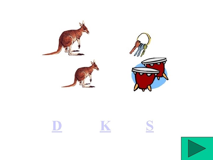 D K S 