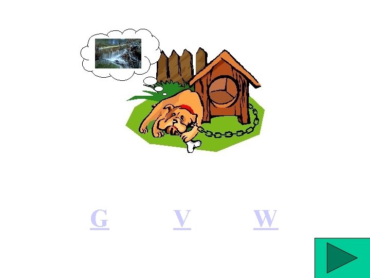 G V W 
