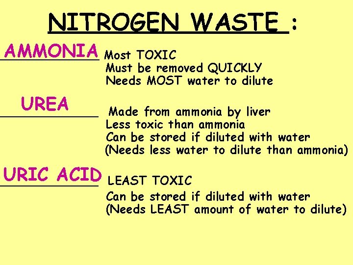 NITROGEN WASTE : AMMONIA Most TOXIC _________ Must be removed QUICKLY Needs MOST water