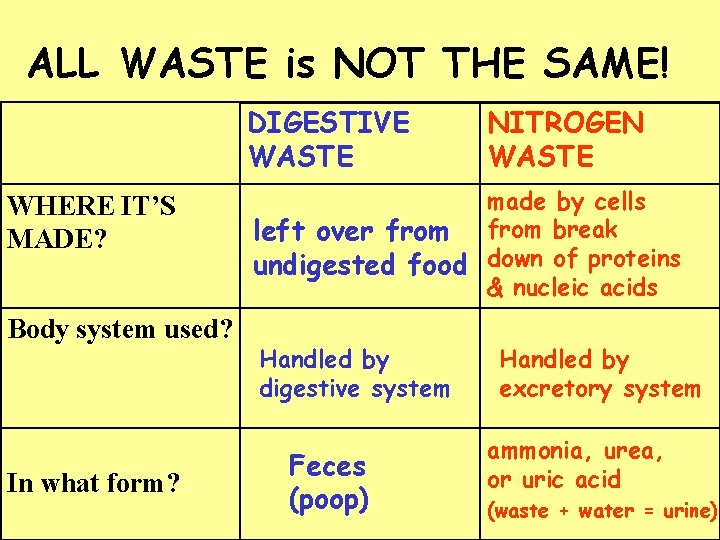 ALL WASTE is NOT THE SAME! DIGESTIVE WASTE WHERE IT’S MADE? Body system used?