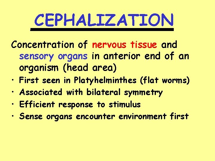 CEPHALIZATION ________ Concentration of nervous tissue and sensory organs in anterior end of an