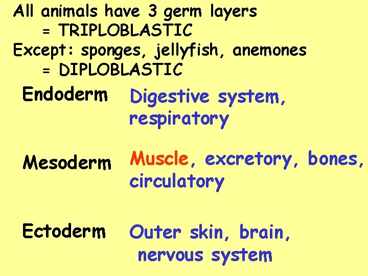 All animals have 3 germ layers = TRIPLOBLASTIC Except: sponges, jellyfish, anemones = DIPLOBLASTIC