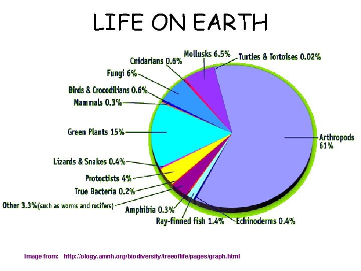 LIFE ON EARTH Image from: http: //ology. amnh. org/biodiversity/treeoflife/pages/graph. html 
