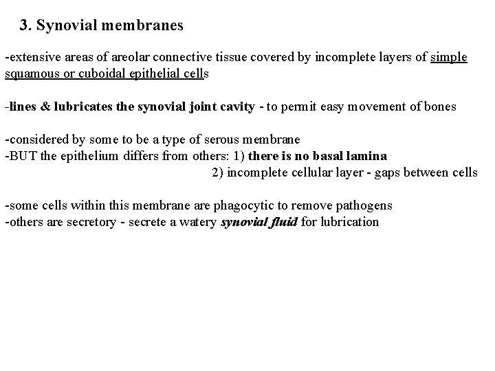 3. Synovial membranes -extensive areas of areolar connective tissue covered by incomplete layers of