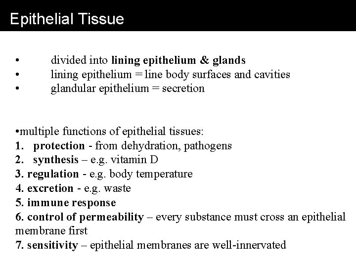 Epithelial Tissue • • • divided into lining epithelium & glands lining epithelium =