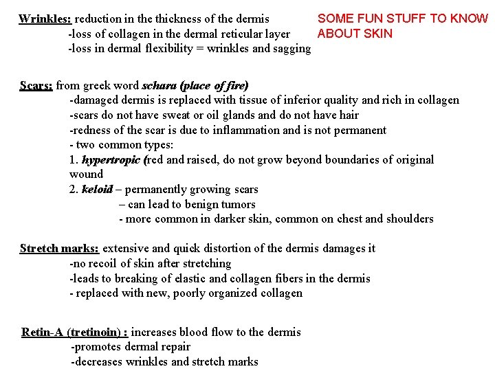 Wrinkles: reduction in the thickness of the dermis SOME FUN STUFF TO KNOW -loss