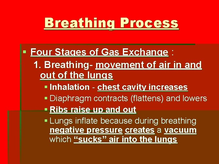 Breathing Process § Four Stages of Gas Exchange : 1. Breathing- movement of air