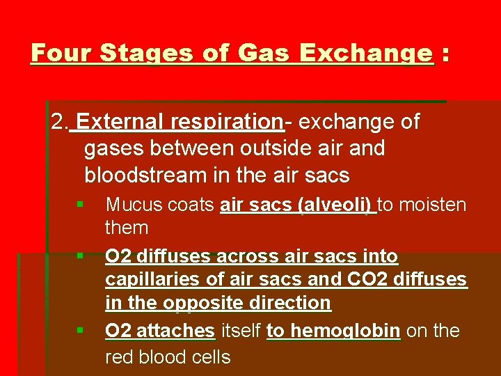 Four Stages of Gas Exchange : 2. External respiration- exchange of gases between outside