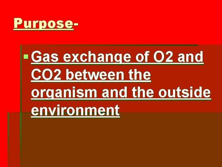 Purpose- § Gas exchange of O 2 and CO 2 between the organism and