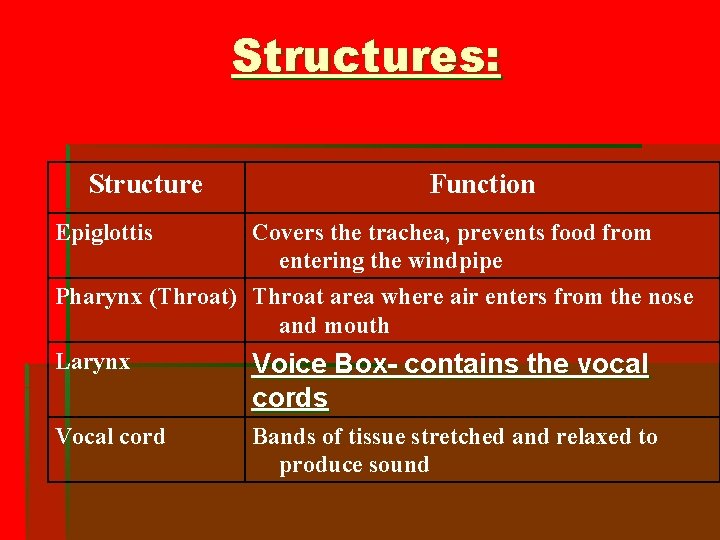 Structures: Structure Function Epiglottis Covers the trachea, prevents food from entering the windpipe Pharynx