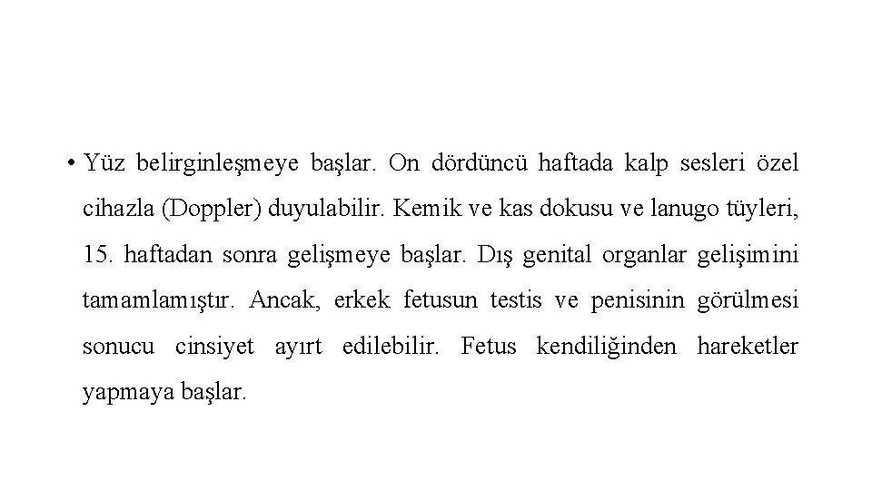  • Yüz belirginleşmeye başlar. On dördüncü haftada kalp sesleri özel cihazla (Doppler) duyulabilir.