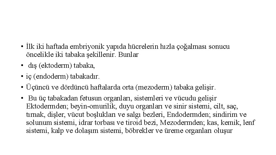  • İlk iki haftada embriyonik yapıda hücrelerin hızla çoğalması sonucu öncelikle iki tabaka