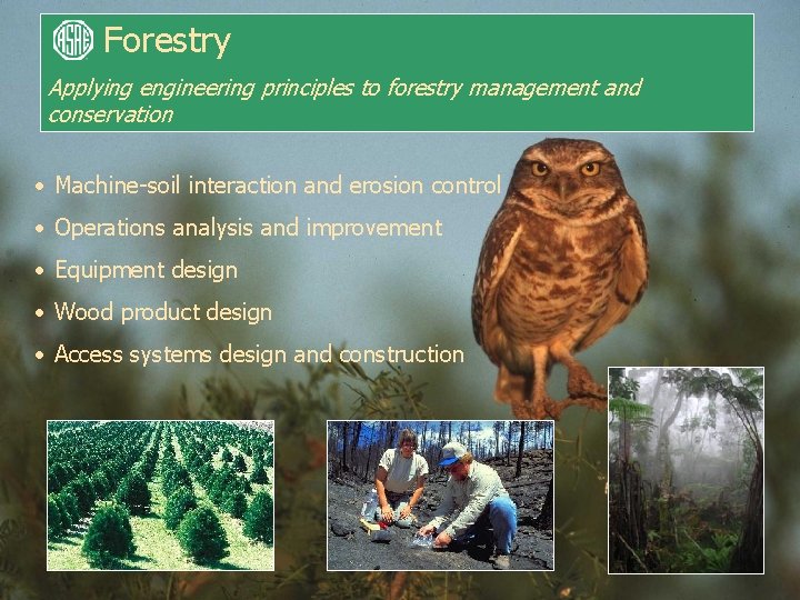 Forestry Applying engineering principles to forestry management and conservation • Machine-soil interaction and erosion