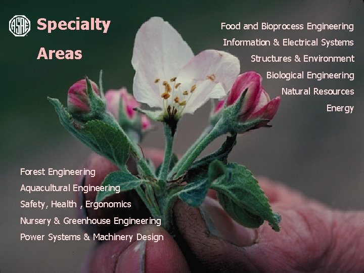 Specialty Areas Food and Bioprocess Engineering Information & Electrical Systems Structures & Environment Biological