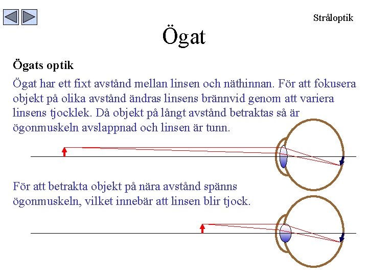 Stråloptik Ögats optik Ögat har ett fixt avstånd mellan linsen och näthinnan. För att