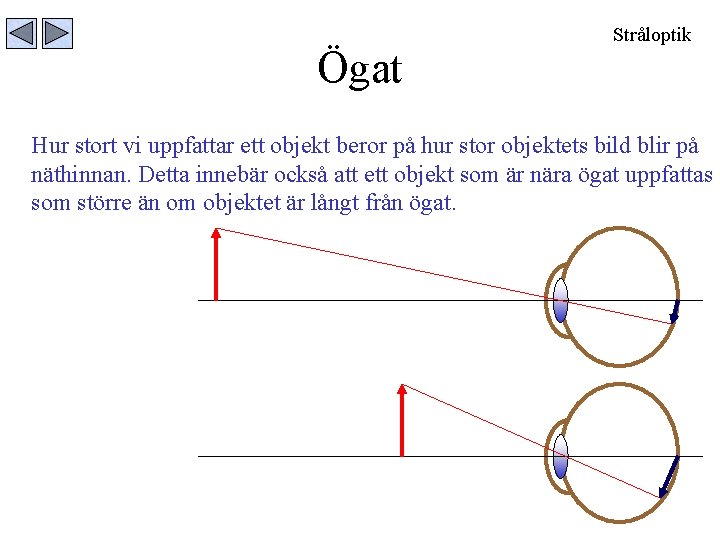 Ögat Stråloptik Hur stort vi uppfattar ett objekt beror på hur stor objektets bild