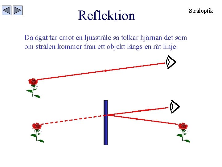 Reflektion Då ögat tar emot en ljusstråle så tolkar hjärnan det som om strålen