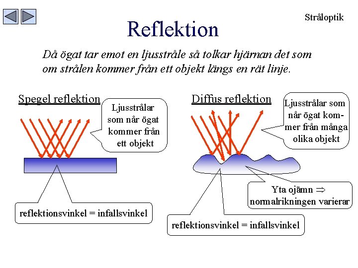 Stråloptik Reflektion Då ögat tar emot en ljusstråle så tolkar hjärnan det som om