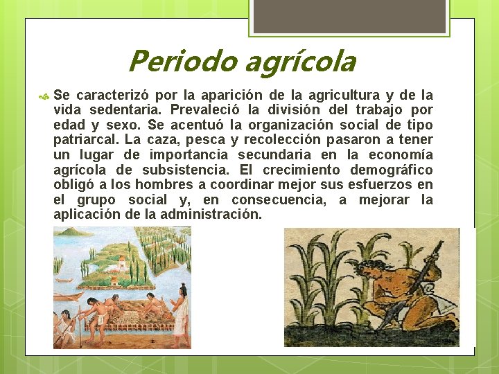 Periodo agrícola Se caracterizó por la aparición de la agricultura y de la vida