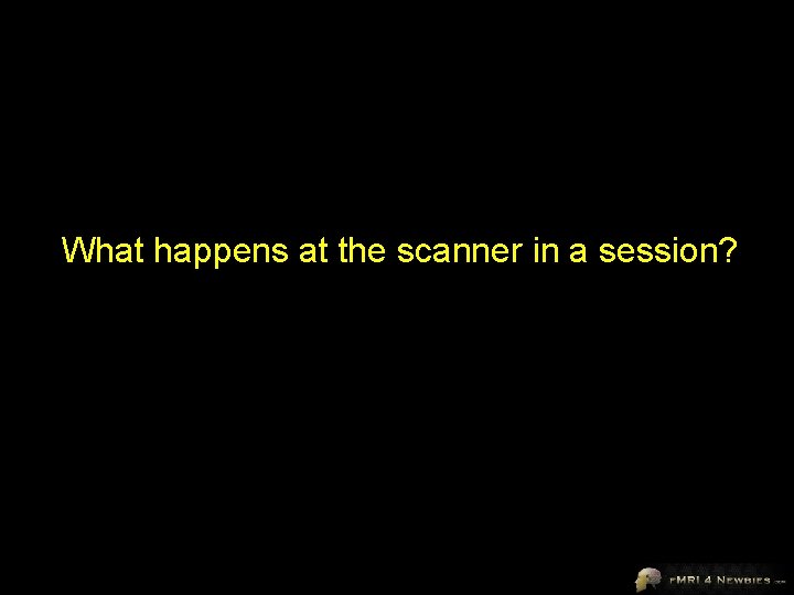 What happens at the scanner in a session? 
