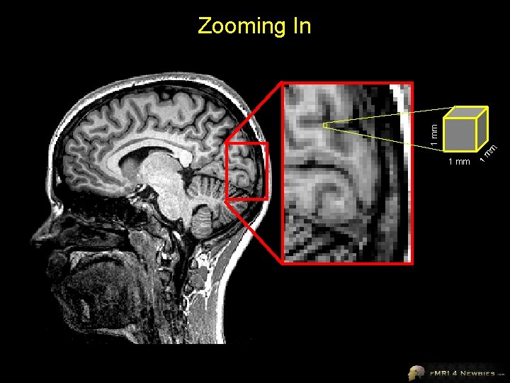 1 1 mm m m 1 mm Zooming In 
