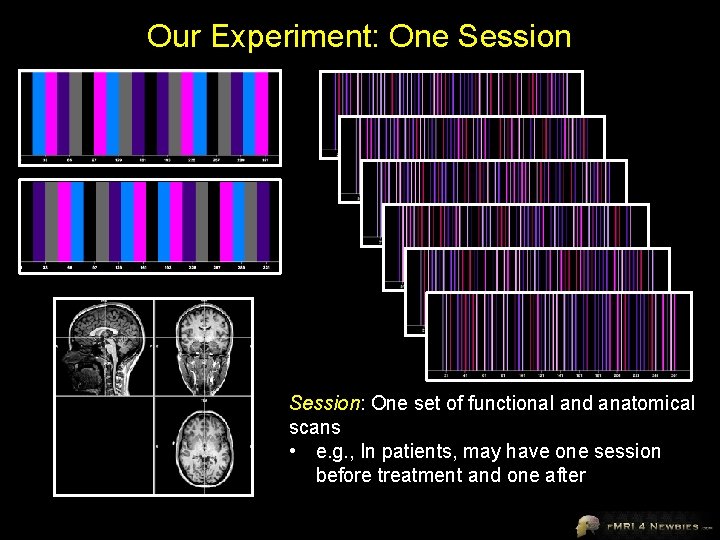 Our Experiment: One Session: One set of functional and anatomical scans • e. g.