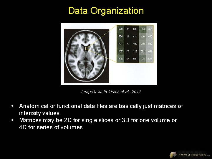 Data Organization Image from Poldrack et al. , 2011 • Anatomical or functional data