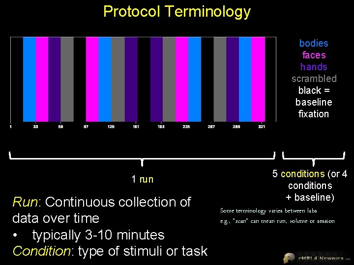 Protocol Terminology bodies faces hands scrambled black = baseline fixation 1 run Run: Continuous