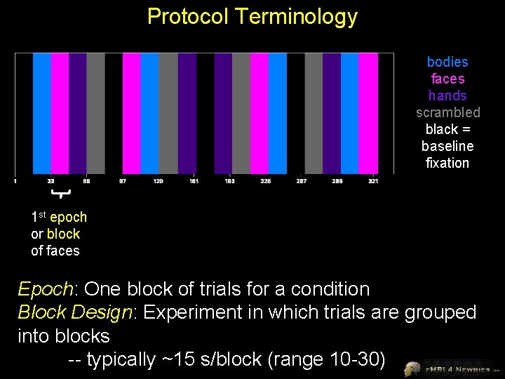 Protocol Terminology bodies faces hands scrambled black = baseline fixation 1 st epoch or