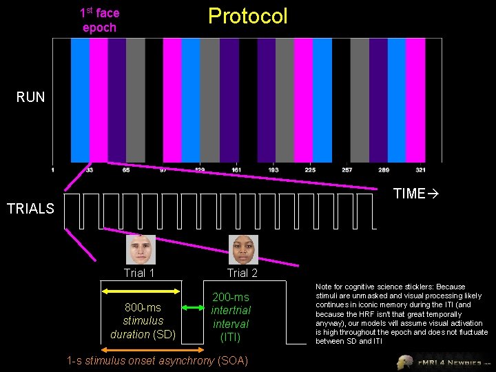 Protocol 1 st face epoch RUN TIME TRIALS Trial 1 800 -ms stimulus duration