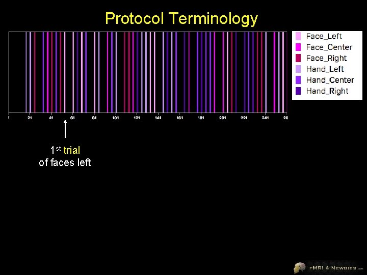 Protocol Terminology 1 st trial of faces left 