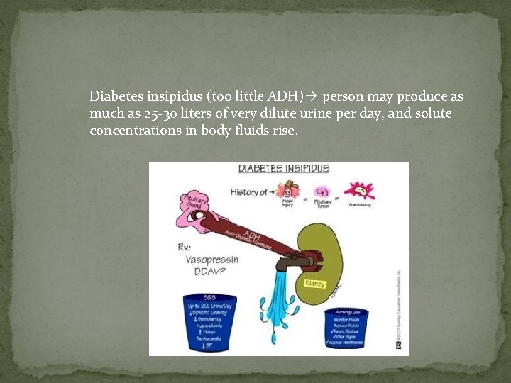 Diabetes insipidus (too little ADH) person may produce as much as 25 -30 liters