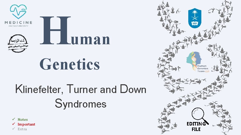 H uman Genetics Klinefelter, Turner and Down Syndromes ü Notes ü Important ü Extra