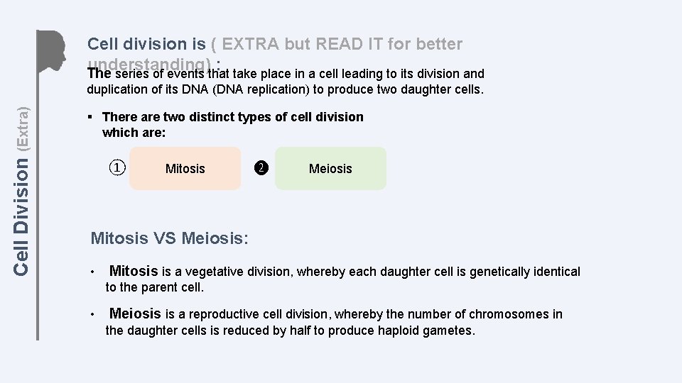 Cell division is ( EXTRA but READ IT for better understanding) : The series