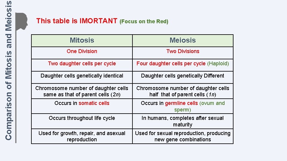 Comparison of Mitosis and Meiosis This table is IMORTANT (Focus on the Red) Mitosis