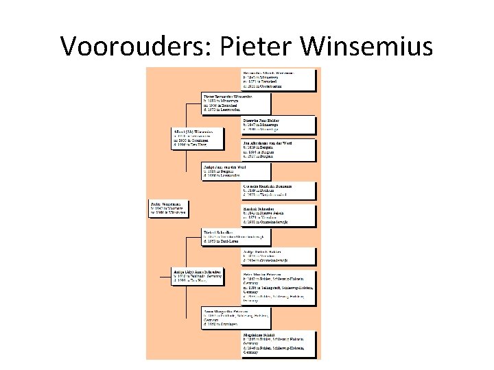 Voorouders: Pieter Winsemius 