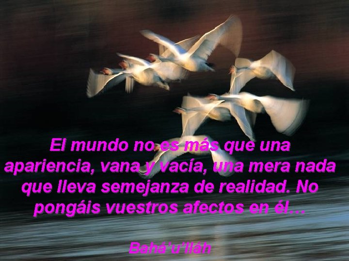El mundo no es más que una apariencia, vana y vacía, una mera nada