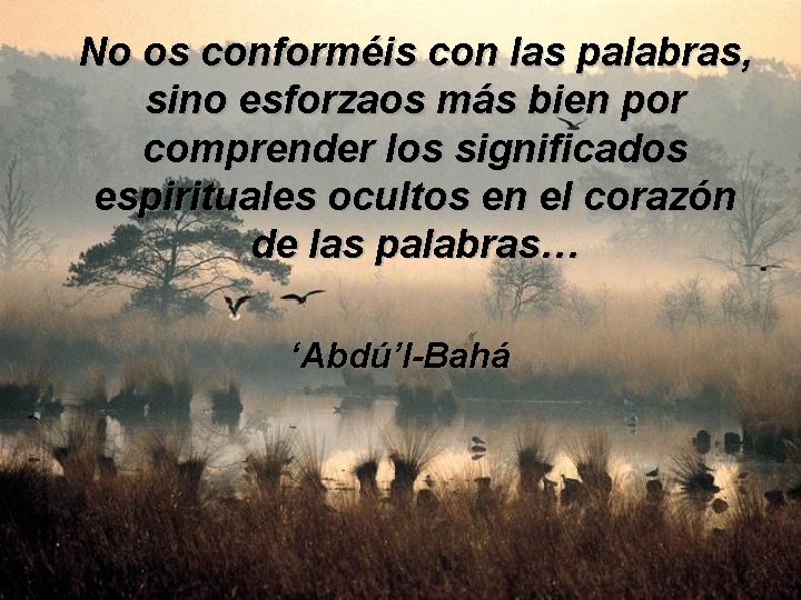 No os conforméis con las palabras, sino esforzaos más bien por comprender los significados