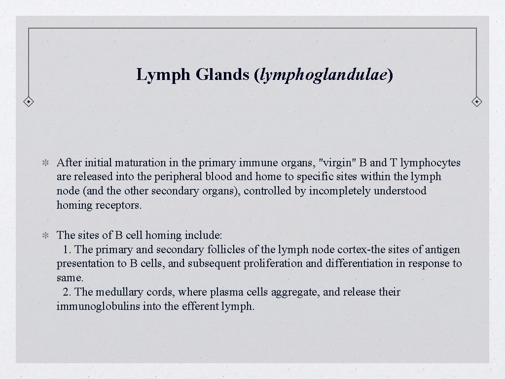 Lymph Glands (lymphoglandulae) After initial maturation in the primary immune organs, "virgin" B and